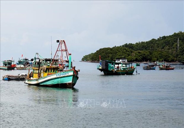 Provincia de Kien Giang se centra en proyectos clave de desarrollo ảnh 1 Provincia de Kien Giang se centra en proyectos clave de desarrollo ảnh 1