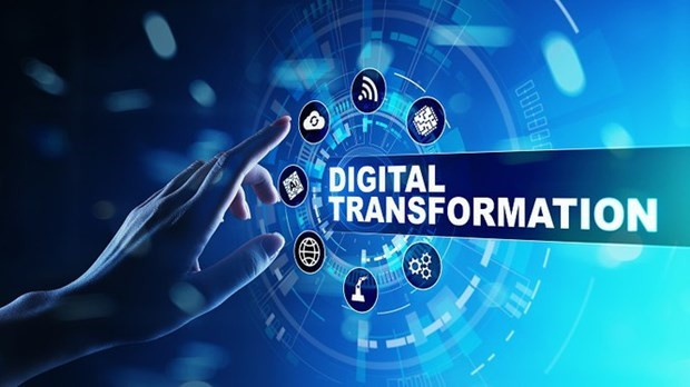 Long An presta atención al desarrollo de recursos humanos en la transformación digital ảnh 1 Long An presta atención al desarrollo de recursos humanos en la transformación digital ảnh 1