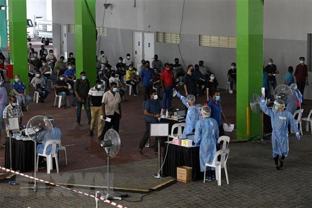 COVID-19: Nuevos casos diarios en Singapur apuntan a alcanzar 20 mil ảnh 1