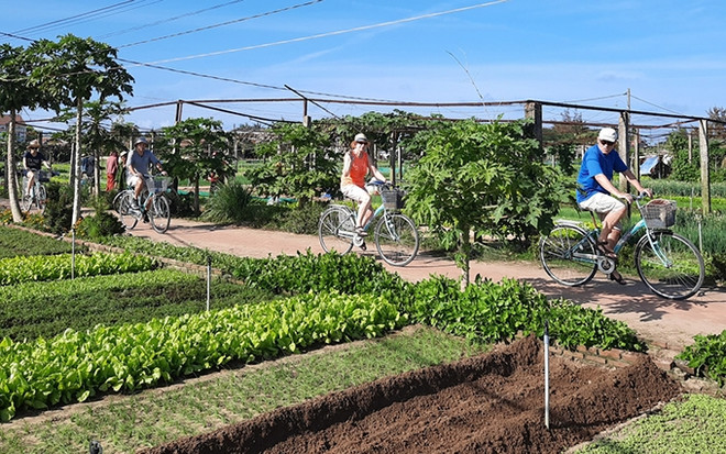 Vietnam promueve tendencias verdes durante Año Nacional de Turismo 2022 ảnh 1 Vietnam promueve tendencias verdes durante Año Nacional de Turismo 2022 ảnh 1