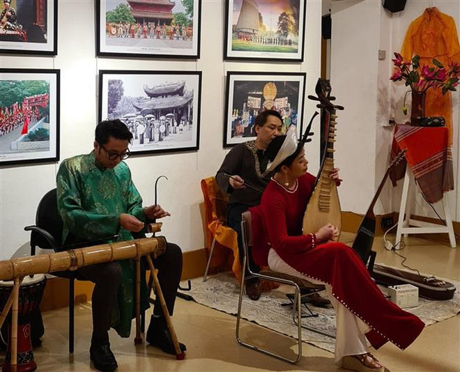 Exponen patrimonio cultural e instrumentos musicales tradicionales vietnamitas en Francia ảnh 1