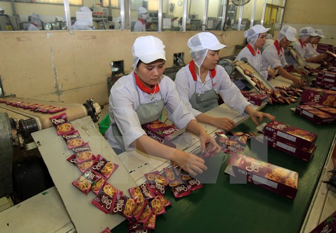 Premier llama a mayor asistencia a mujeres con escasez económica ảnh 1 Premier llama a mayor asistencia a mujeres con escasez económica ảnh 1