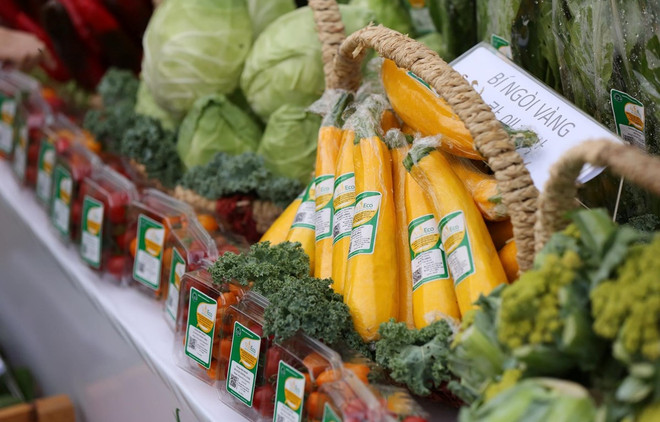 Vietnam registra leve aumento del Índice de Precios al Consumidor en septiembre ảnh 1