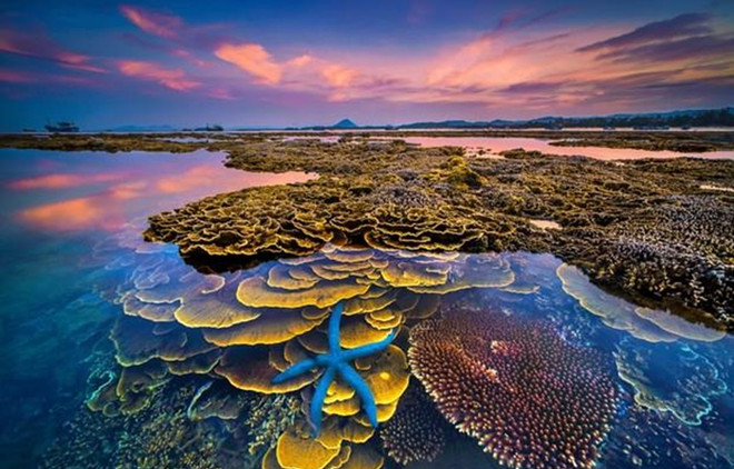 Entregan premios a obras destacadas en concurso sobre exploración de Vietnam ảnh 1