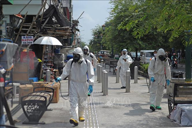 Transporte marítimo de Indonesia pierde 822 millones de dólares en el primer semestre ảnh 1 Transporte marítimo de Indonesia pierde 822 millones de dólares en el primer semestre ảnh 1