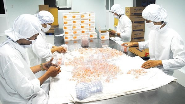 Aumentará el apoyo a la industria farmacéutica nacional en Vietnam ảnh 1 Aumentará el apoyo a la industria farmacéutica nacional en Vietnam ảnh 1
