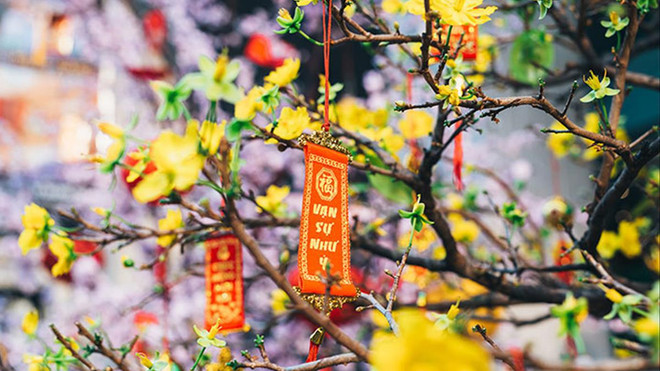 Extienden deseos del Tet a los vietnamitas en el extranjero ảnh 2 Extienden deseos del Tet a los vietnamitas en el extranjero ảnh 2