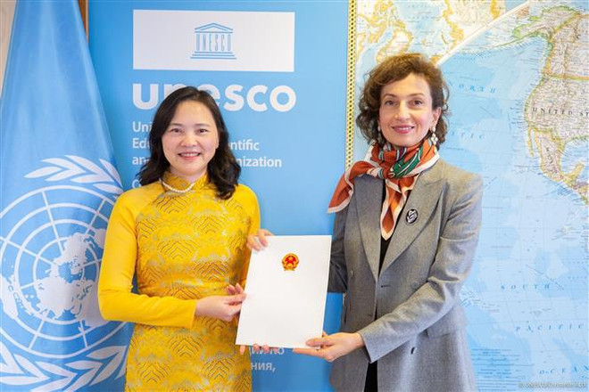 Mejoran cooperación entre Vietnam y UNESCO ảnh 1 Mejoran cooperación entre Vietnam y UNESCO ảnh 1