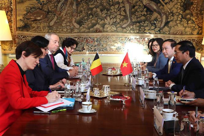 Bélgica lanzará proyectos para ayudar a Vietnam a limpiar Agente Naranja ảnh 3 Bélgica lanzará proyectos para ayudar a Vietnam a limpiar Agente Naranja ảnh 3
