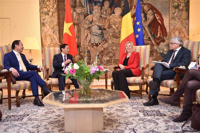 Bélgica lanzará proyectos para ayudar a Vietnam a limpiar Agente Naranja ảnh 2 Bélgica lanzará proyectos para ayudar a Vietnam a limpiar Agente Naranja ảnh 2