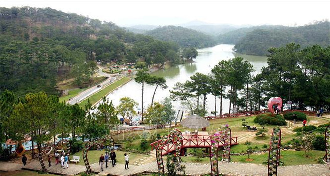 Da Lat, destino turístico más popular para los vacaciones en el Tet 2024 ảnh 1