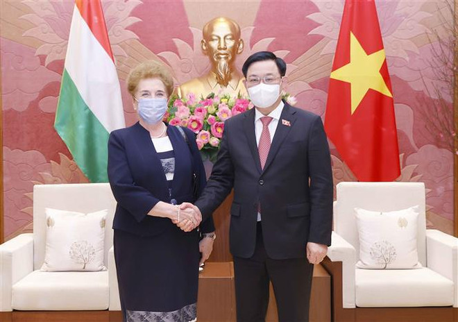Proponen vigorizar cooperación legislativa entre Vietnam y Hungría ảnh 1 Proponen vigorizar cooperación legislativa entre Vietnam y Hungría ảnh 1