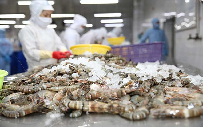 Vietnam, quinto mayor exportador de camarón a Estados Unidos en 2021 ảnh 1