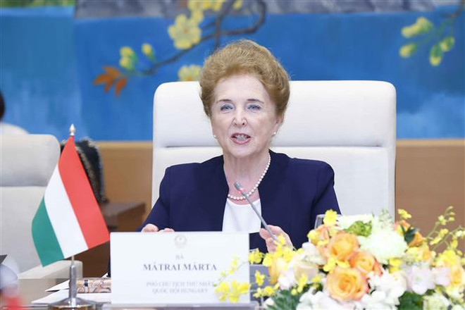 Vietnam y Hungría promoverán cooperación legislativa ảnh 3 Vietnam y Hungría promoverán cooperación legislativa ảnh 3
