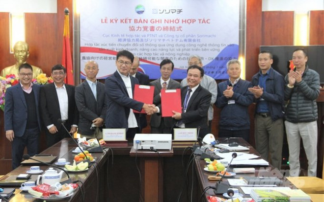 Vietnam favorece desarrollo sostenible de cooperativas agrícolas ảnh 1 Vietnam favorece desarrollo sostenible de cooperativas agrícolas ảnh 1