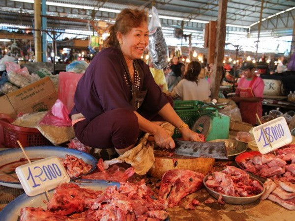 Laos prohíbe la importación de ciertos tipos de productos agrícolas ảnh 1 Laos prohíbe la importación de ciertos tipos de productos agrícolas ảnh 1