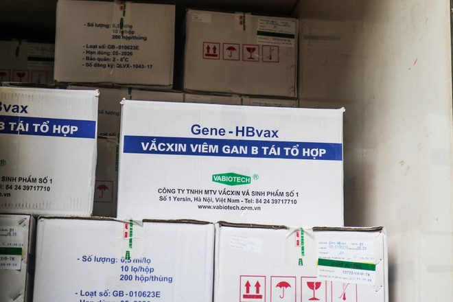 Vietnam importa suficientes vacunas para programa de inmunizaciones 2024 ảnh 1 Vietnam importa suficientes vacunas para programa de inmunizaciones 2024 ảnh 1