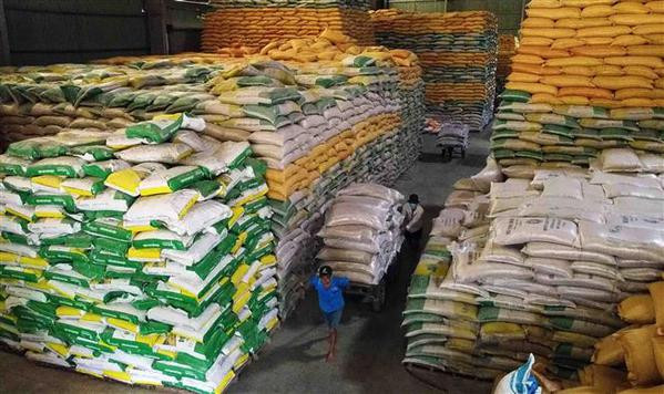 Vietnam exporta 8,3 millones de toneladas de arroz en 2023 ảnh 1 Vietnam exporta 8,3 millones de toneladas de arroz en 2023 ảnh 1