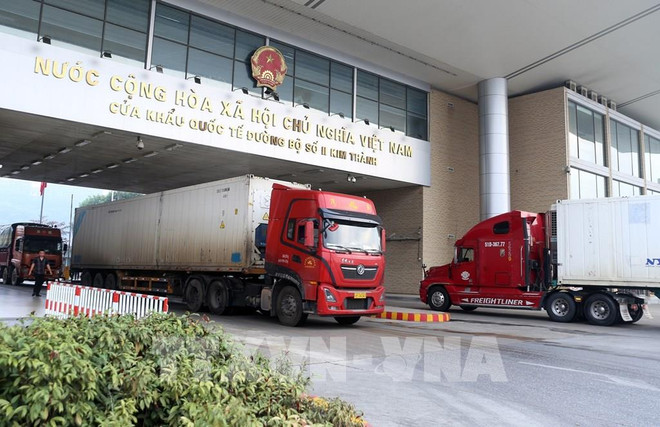Más de 255 toneladas de durián exportadas a través de las puertas fronterizas de Lao Cai ảnh 1 Más de 255 toneladas de durián exportadas a través de las puertas fronterizas de Lao Cai ảnh 1