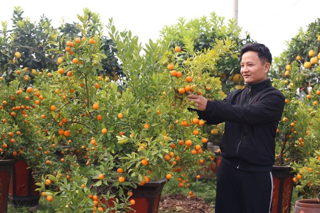 Celebrarán en Hanoi festival de productos OCOP en saludo al Año Nuevo Lunar ảnh 1 Celebrarán en Hanoi festival de productos OCOP en saludo al Año Nuevo Lunar ảnh 1