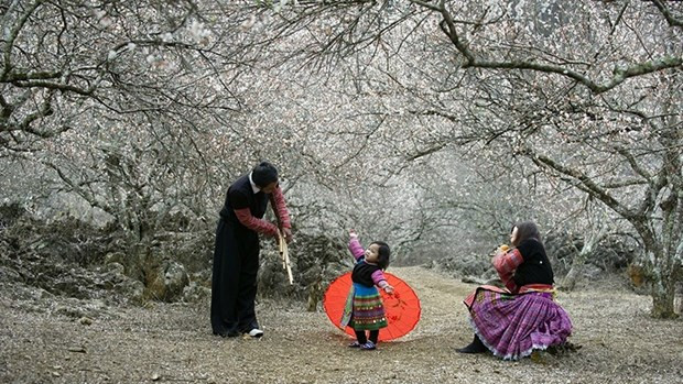 Vietnam se esfuerza por desarrollar el turismo comunitario sostenible ảnh 1 Vietnam se esfuerza por desarrollar el turismo comunitario sostenible ảnh 1