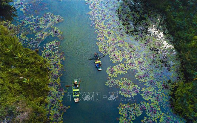 Vietnam es el país más seguro para visitar en Asia, según Travel Off Path ảnh 1 Vietnam es el país más seguro para visitar en Asia, según Travel Off Path ảnh 1