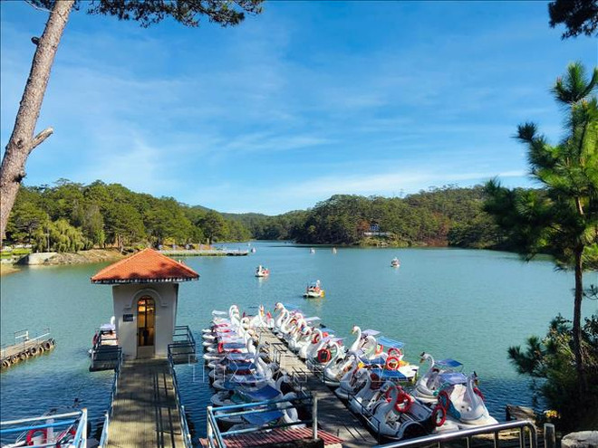 Provincia de Lam Dong recibe a 160 mil turistas en ocasión del Año Nuevo ảnh 1 Provincia de Lam Dong recibe a 160 mil turistas en ocasión del Año Nuevo ảnh 1