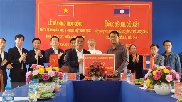 Vietnam ayuda a Laos a desarrollar economía agrícola ảnh 1