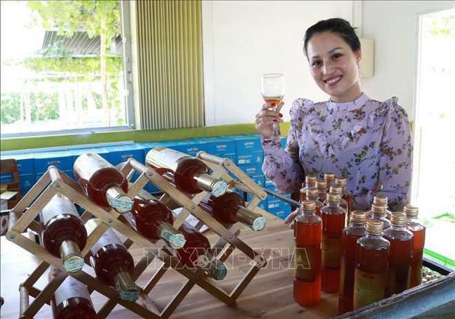 Celebrarán festival de Uva y Vino en provincia de Ninh Thuan en junio ảnh 2 Celebrarán festival de Uva y Vino en provincia de Ninh Thuan en junio ảnh 2