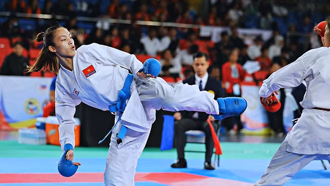 Equipo de kárate de Vietnam conquista primer lugar en Torneo regional ảnh 2
