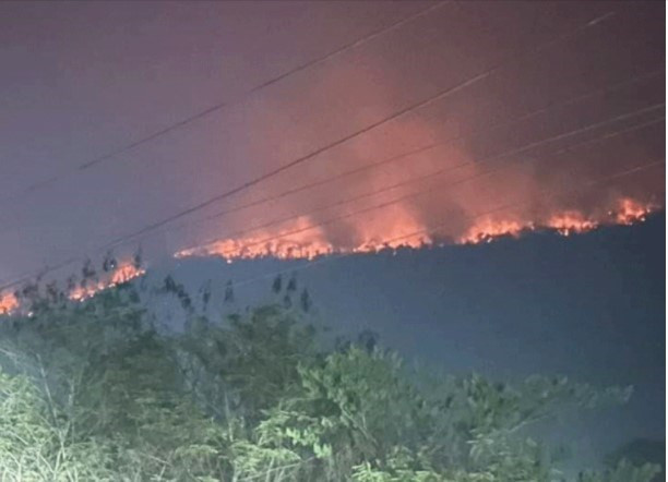 Incendios forestales y contaminación del aire alcanzan nivel de peligro en Laos ảnh 1