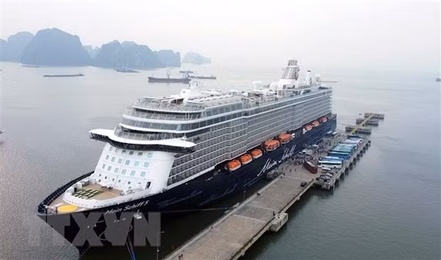 Crucero trae más de dos mil visitantes internacionales a Ha Long ảnh 1 Crucero trae más de dos mil visitantes internacionales a Ha Long ảnh 1