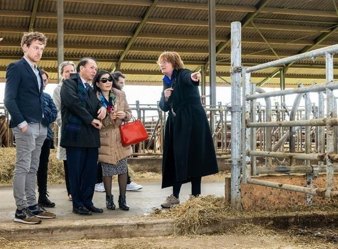 Promueven cooperación entre localidades vietnamitas y holandesas ảnh 1 Promueven cooperación entre localidades vietnamitas y holandesas ảnh 1