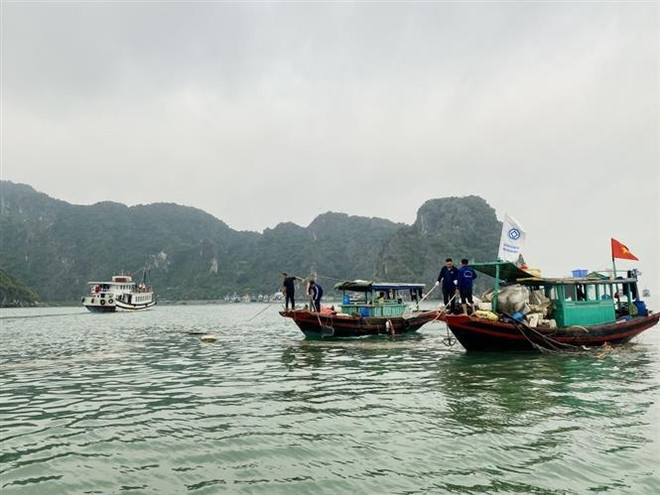 Ciudad de Ha Long se esfuerza por reducir contaminación marina ảnh 1