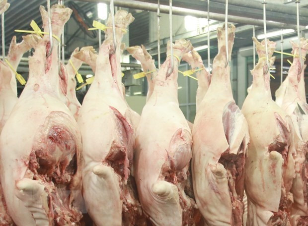Laos suspende importaciones de carne de cerdo de Vietnam ảnh 1