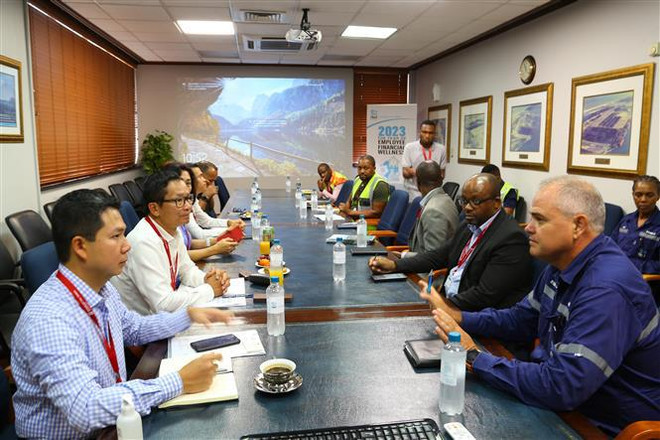 Vietnam promueve cooperación comercial con localidades sudafricanas ảnh 1