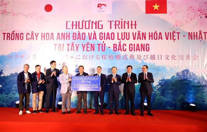 Intercambio cultural consolida amistad Vietnam - Japón ảnh 1 Intercambio cultural consolida amistad Vietnam - Japón ảnh 1