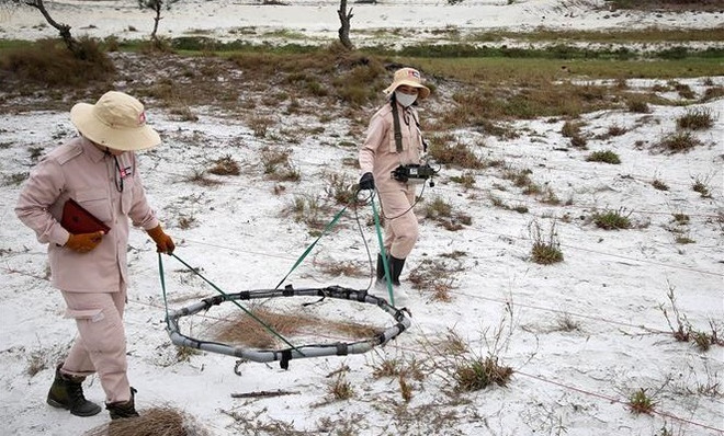 📝 Enfoque: Destacan urgencia de acción y cooperación contra bombas y minas ảnh 2 📝 Enfoque: Destacan urgencia de acción y cooperación contra bombas y minas ảnh 2