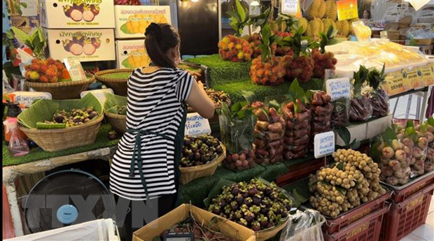 Comercio entre países del Mekong y China supera 416 mil millones de USD ảnh 1 Comercio entre países del Mekong y China supera 416 mil millones de USD ảnh 1