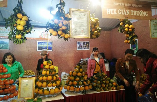 Inauguran en Hanoi Semana de naranja de provincia vietnamita de Ha Giang ảnh 1