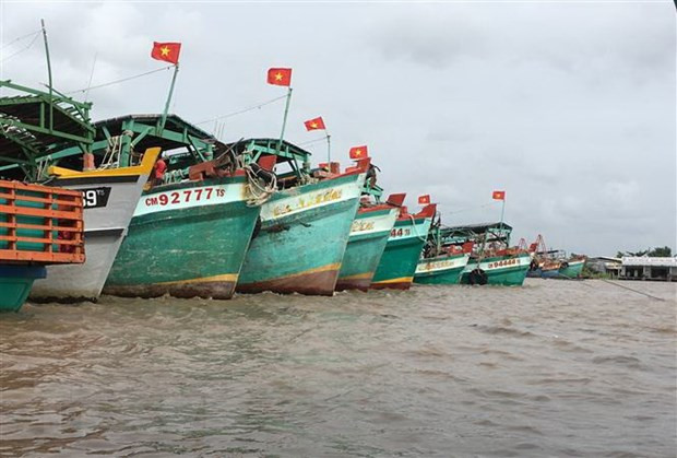 Avanza Vietnam en actividades contra la pesca ilegal ảnh 1 Avanza Vietnam en actividades contra la pesca ilegal ảnh 1