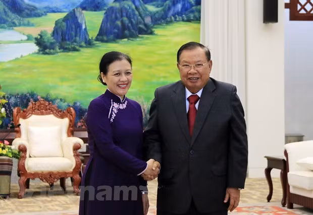 Destacan en Laos grandes contribuciones de veteranos y expertos vietnamitas ảnh 1