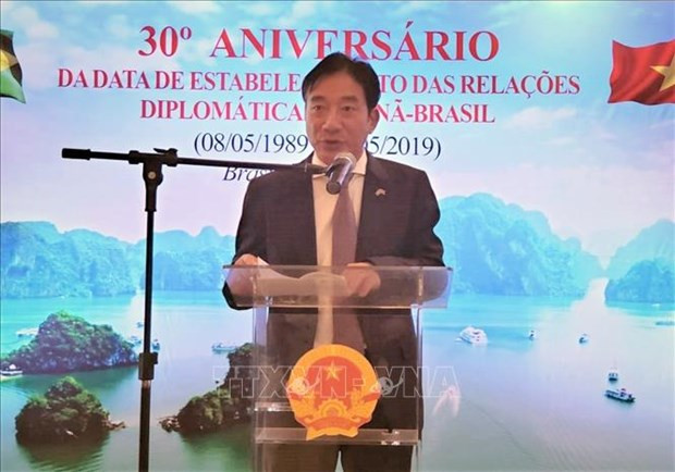 Embajador vietnamita destaca el buen desarrollo de nexos entre su país y Brasil ảnh 1 Embajador vietnamita destaca el buen desarrollo de nexos entre su país y Brasil ảnh 1