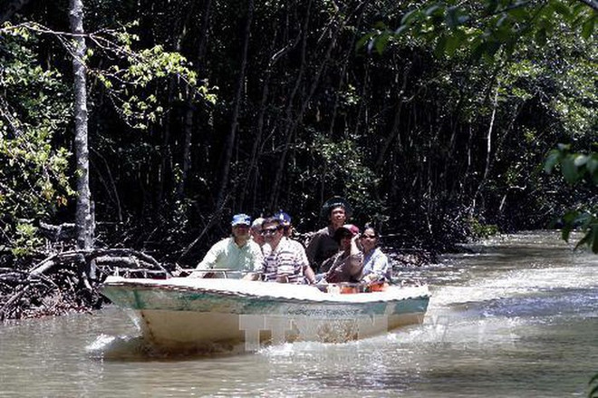 Promueven ecoturismo rural en Ciudad Ho Chi Minh ảnh 1
