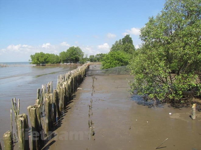 Países de subregión del Mekong prestan atención a seguridad energética e hídrica ảnh 1 Países de subregión del Mekong prestan atención a seguridad energética e hídrica ảnh 1