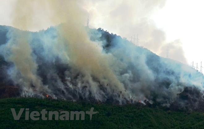 Vietnam activo en el cumplimiento de compromisos globales contra el cambio climático ảnh 1 Vietnam activo en el cumplimiento de compromisos globales contra el cambio climático ảnh 1