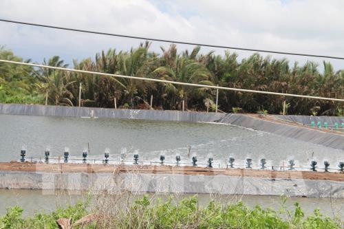 Área costera Go Cong, zona clave de exportación de productos acuáticos de Vietnam ảnh 1