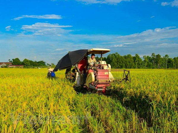La FAO reconoce éxito de Vietnam en desarrollo económico ảnh 1 La FAO reconoce éxito de Vietnam en desarrollo económico ảnh 1