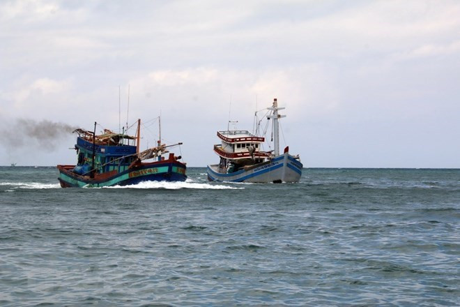 Provincia centrovietnamita de Thanh Hoa robustece la lucha contra pesca ilegal ảnh 1