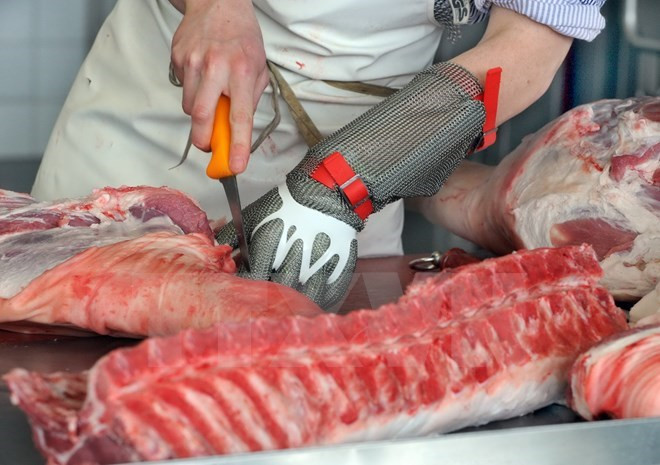 Celebran en Hanoi sexta conferencia ministerial entre ASEAN y China sobre higiene alimentaria y fitosanitario ảnh 1